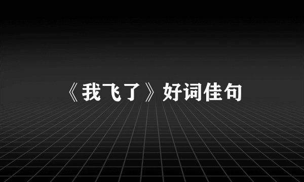 《我飞了》好词佳句