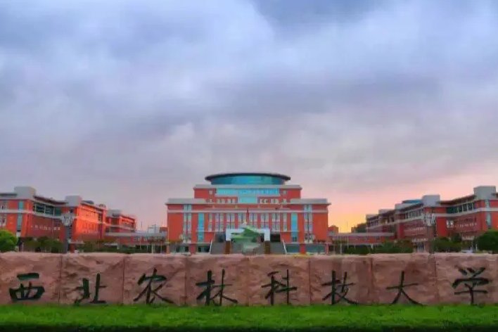 陕西一本院校排名一览表