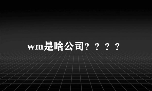 wm是啥公司？？？？