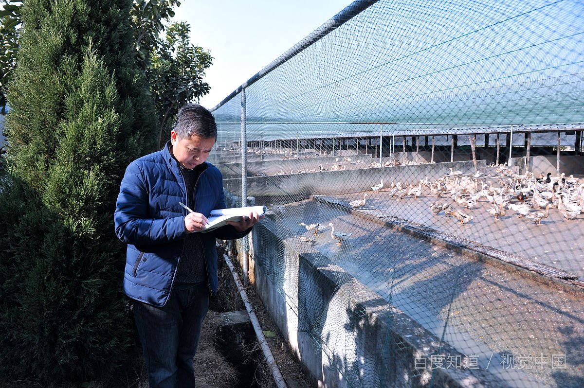 如何才能有成就感？