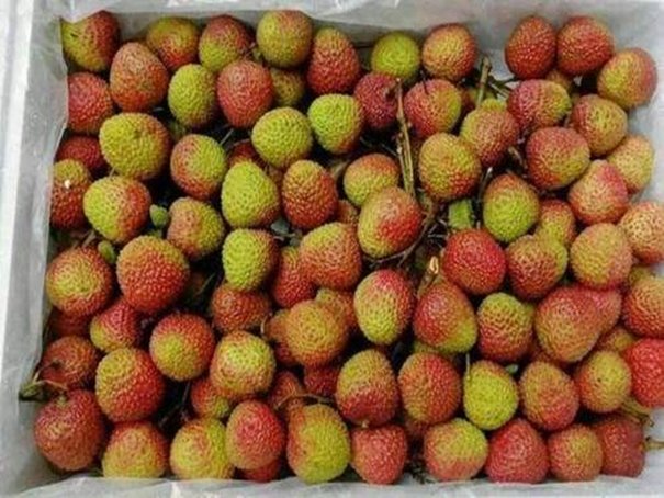 妃子笑荔枝故事的来历