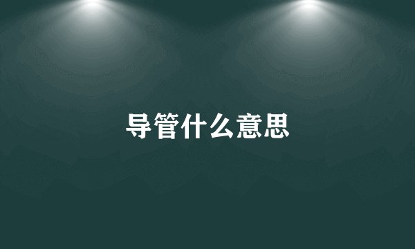 导管什么意思