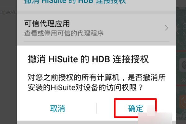 hisuite是什么意思