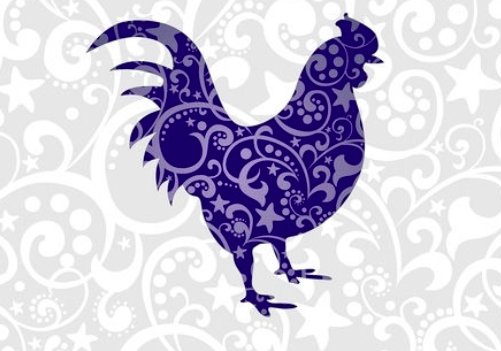 鸡年是什么生肖年