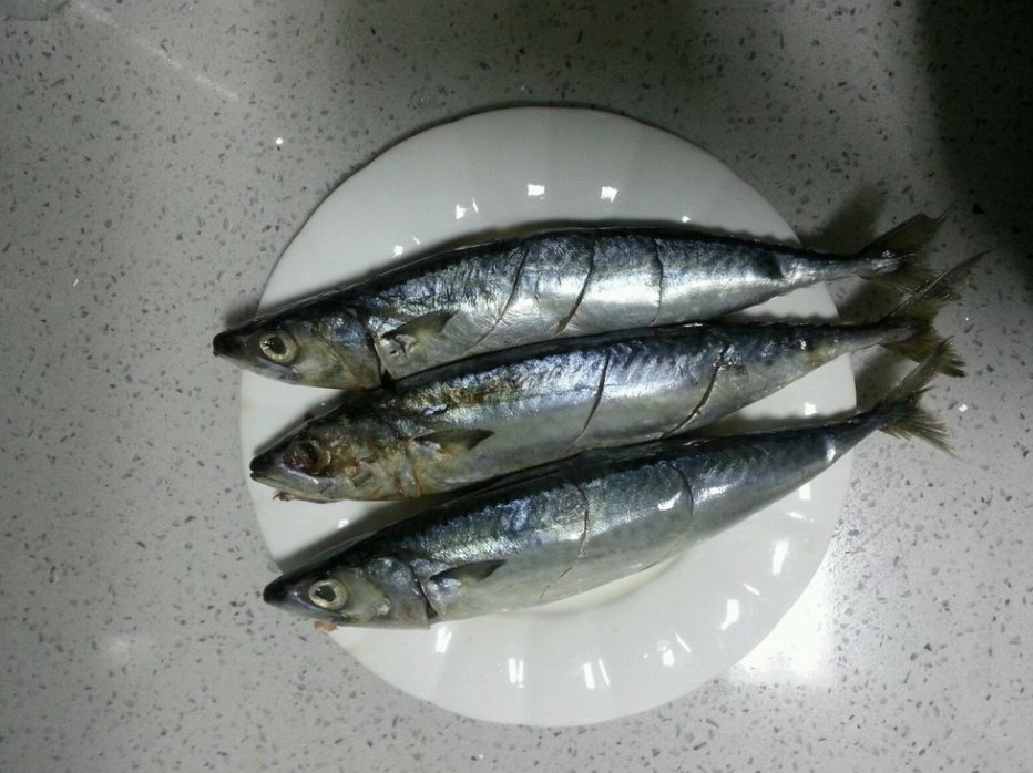 30种最常吃的深海鱼