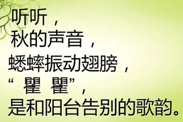 一什么的音乐厅三年级上语文第七课