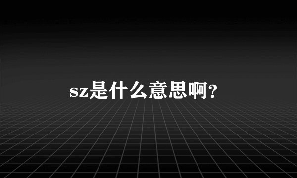 sz是什么意思啊？