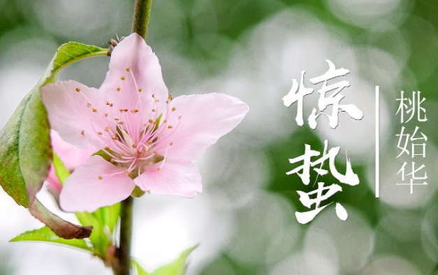 惊蛰是几月几号