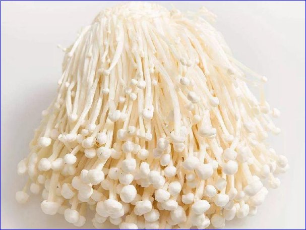 银针菇与金针菇的区别