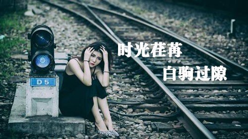 时光荏苒如白驹过隙什么意思？