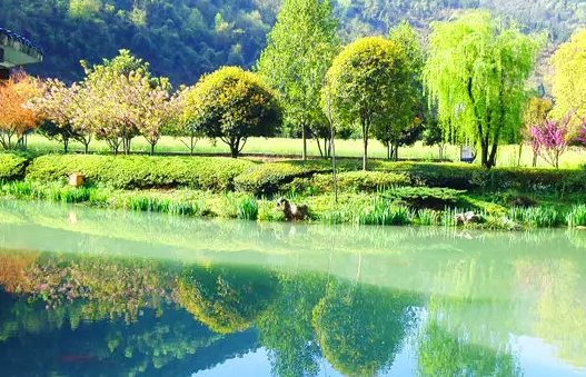 春色的拼音是什么？