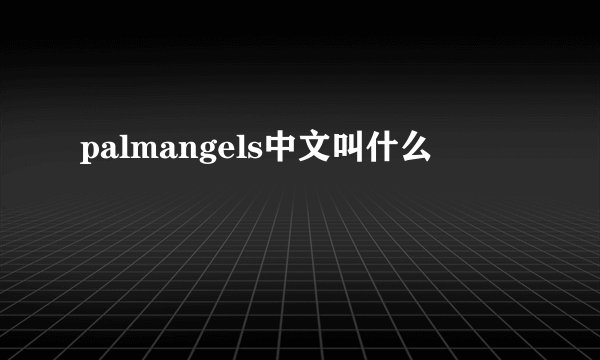 palmangels中文叫什么