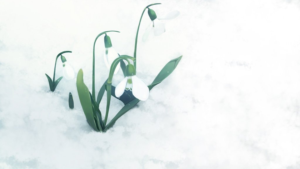 雪白的（）填空词语是什么？