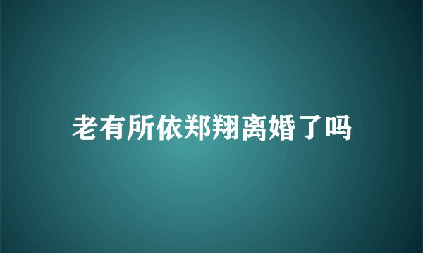 老有所依郑翔离婚了吗