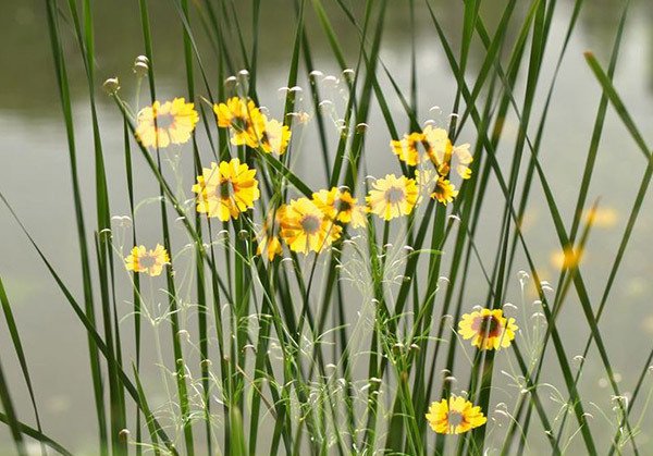 什么是二次曝光 怎么操作?