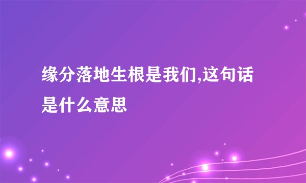 缘分落地生根是我们,这句话是什么意思