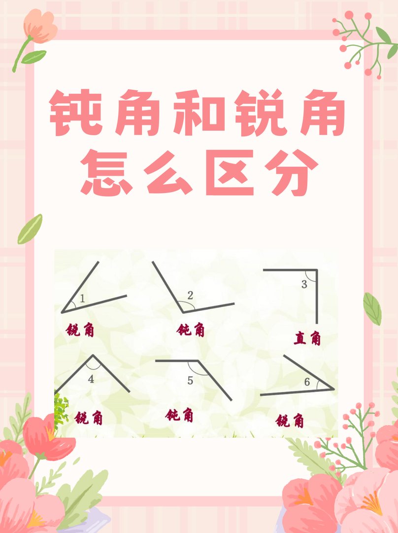 锐角和钝角的区别是什么？