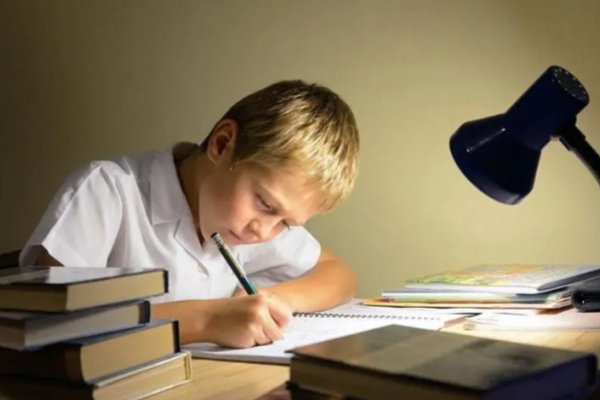 作业害了多少个人的图片