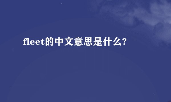 fleet的中文意思是什么?