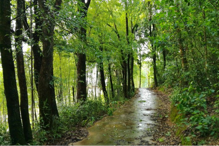 幽的拼音,音序,结构,部首,组词语