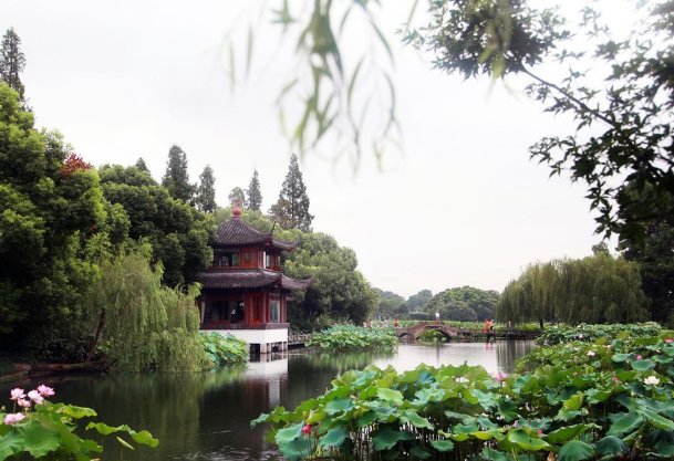 曲院风荷景点介绍