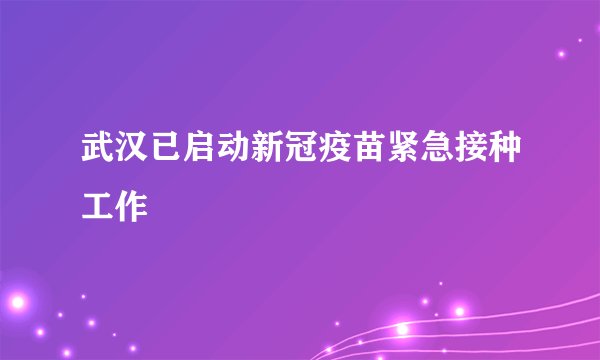 武汉已启动新冠疫苗紧急接种工作