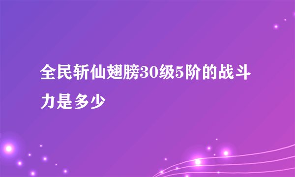全民斩仙翅膀30级5阶的战斗力是多少