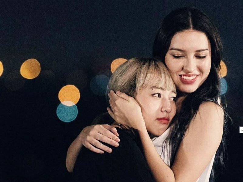 人和动物的区别是什么?