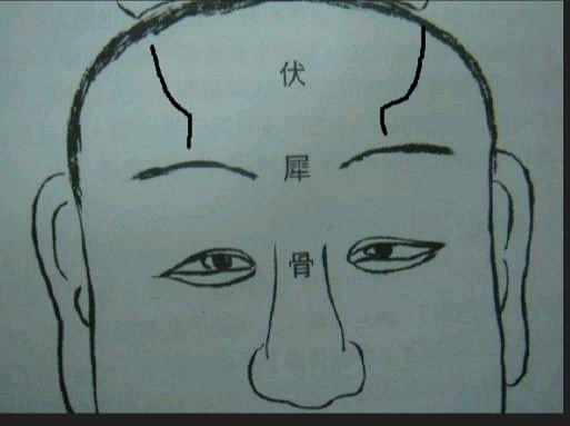 伏羲骨是哪个部位？