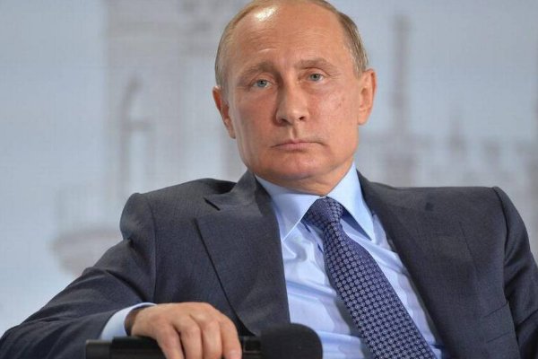 普京身高多少体重多少