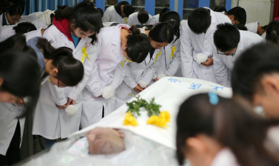 大体老师是什么意思？