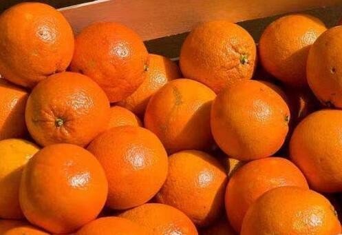 apple、beef、rice、water、orange、milk、bear、duck都是什么?