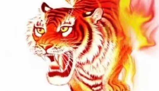 下山虎有什么风水寓意呢？