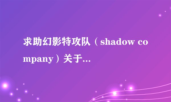 求助幻影特攻队（shadow company）关于武器的用法