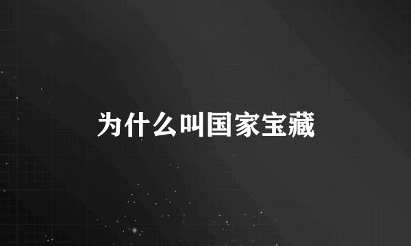 为什么叫国家宝藏