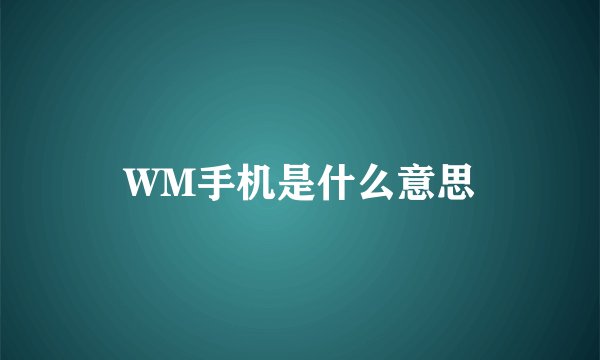 WM手机是什么意思