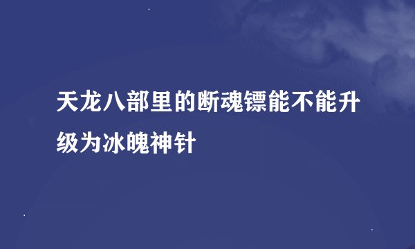 天龙八部里的断魂镖能不能升级为冰魄神针