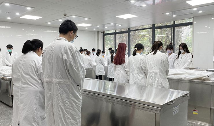 大体老师是什么意思？