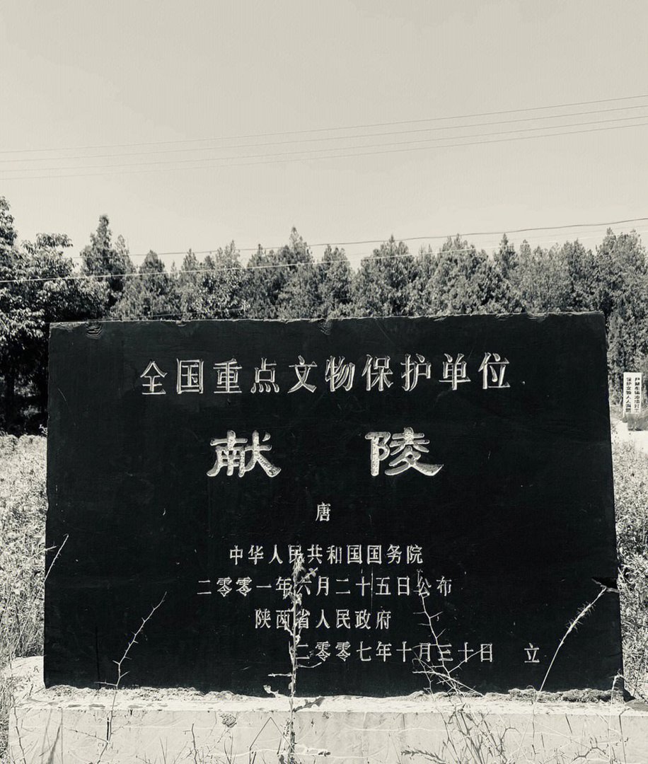 有专门讲述唐朝唐朝皇帝一生的纪录片吗？