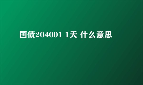 国债204001 1天 什么意思