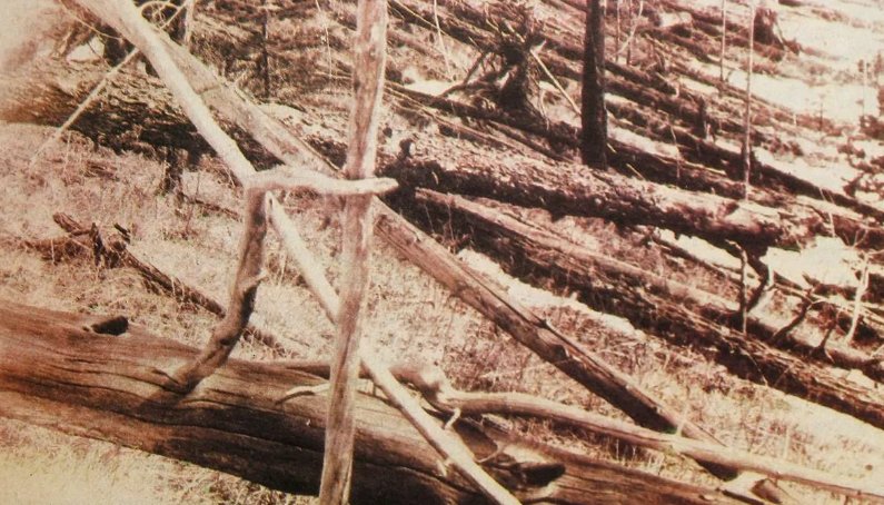 通古斯大爆炸的真实原因