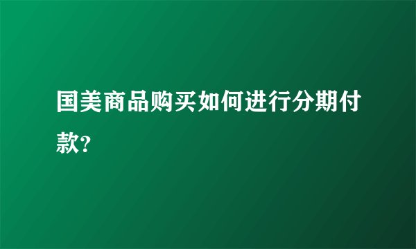 国美商品购买如何进行分期付款？