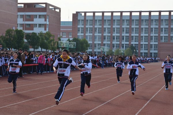 你追我赶后面接什么?