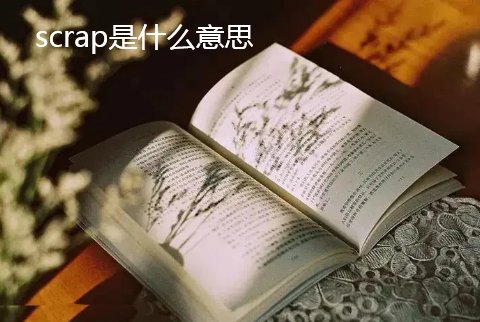 scrap是什么意思