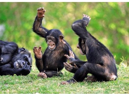 翻山越岭类似的成语