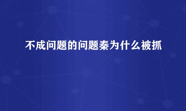 不成问题的问题秦为什么被抓