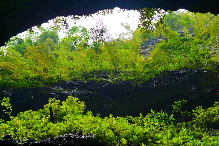 幽的拼音,音序,结构,部首,组词语