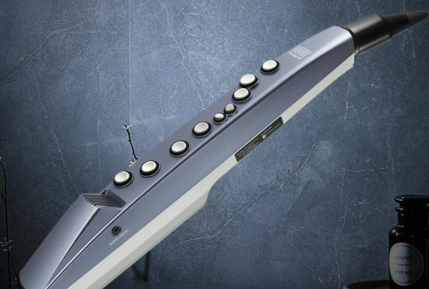 电吹管哪个牌子好质量排名