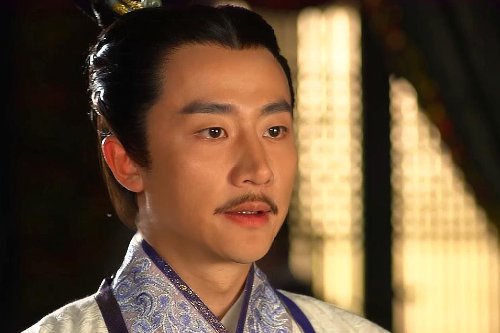 芈月传电视剧演员