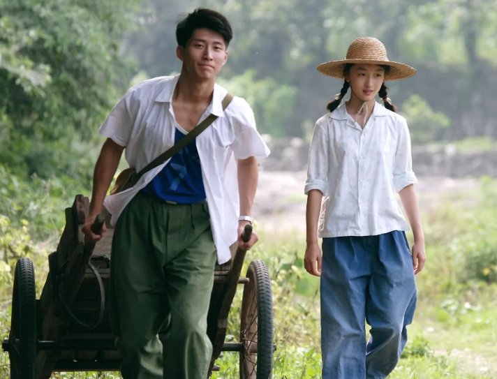 《山楂树之恋》将在韩国上映，这部影片曾获得了怎样的成绩？